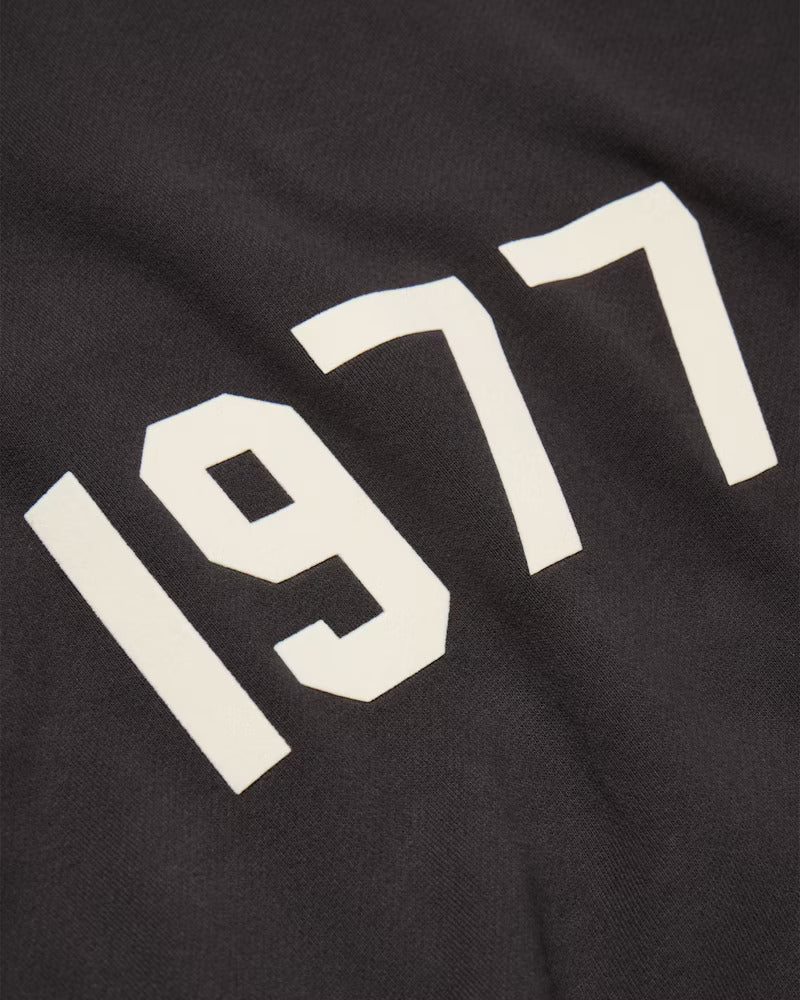 FearofGodEssentials1977HoodieIron1